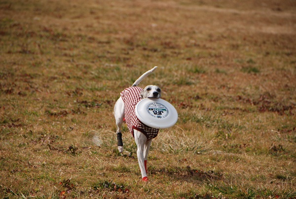 20140201-4.jpg