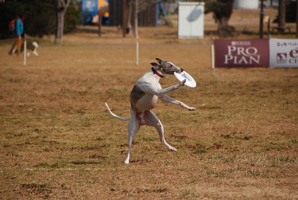 20140201-5.jpg