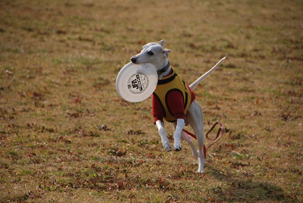 20140201-6.jpg