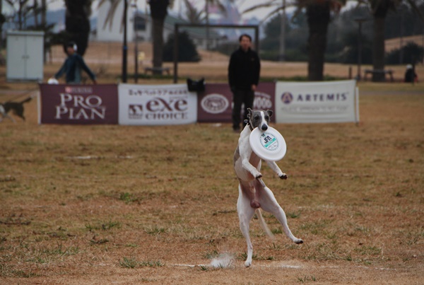 20140202-1.jpg