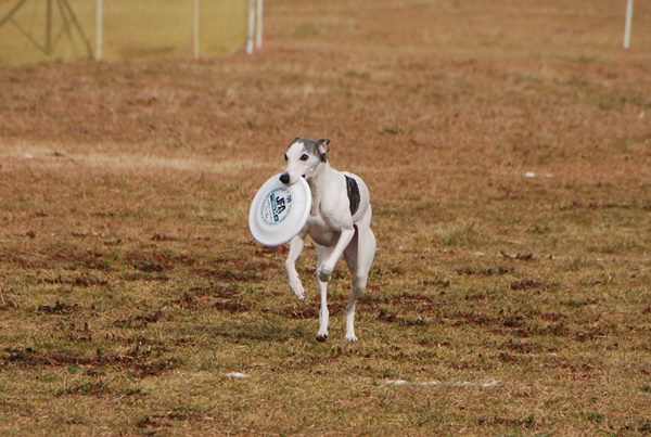 20140202-10.jpg
