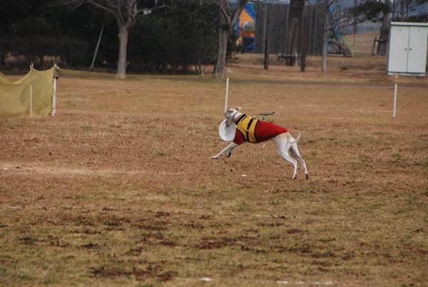 20140202-11_201402172132311bc.jpg