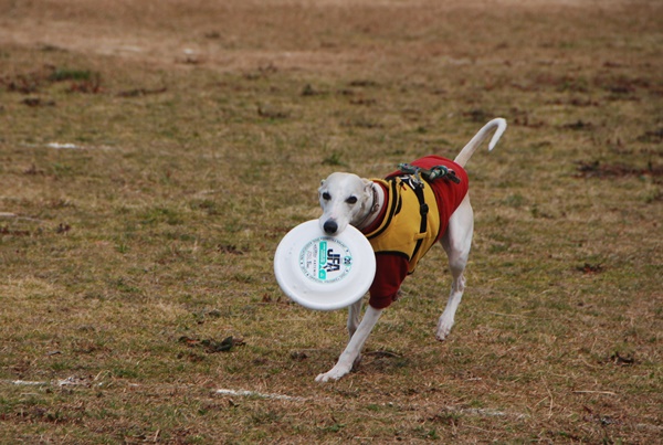 20140202-12.jpg