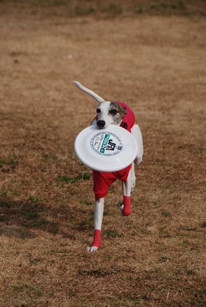 20140202-13.jpg
