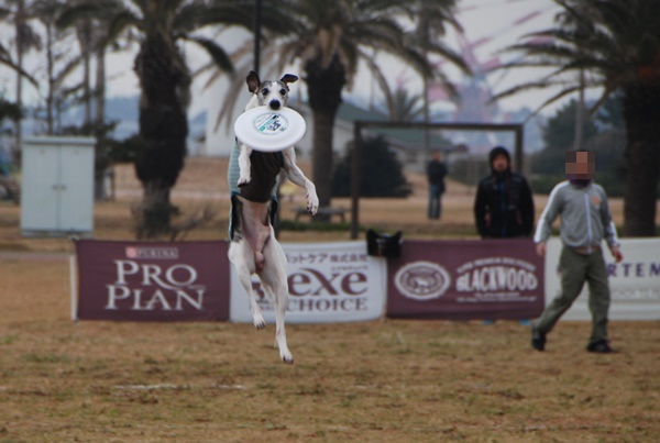20140202-2.jpg