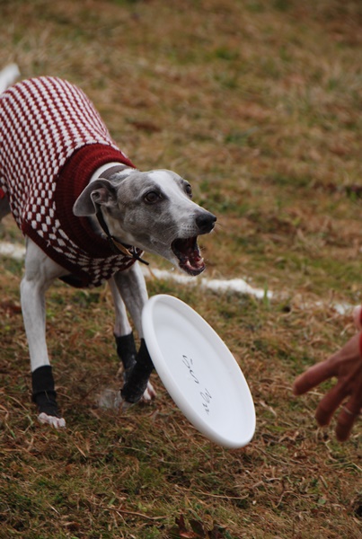 20140202-3.jpg