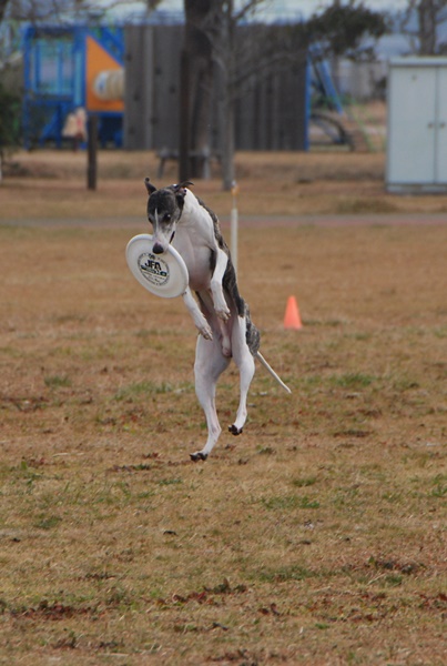 20140202-4.jpg