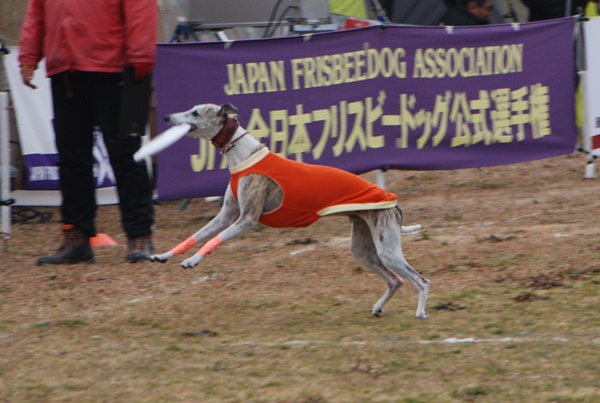 20140202-5.jpg