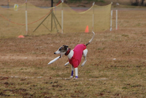 20140202-6.jpg