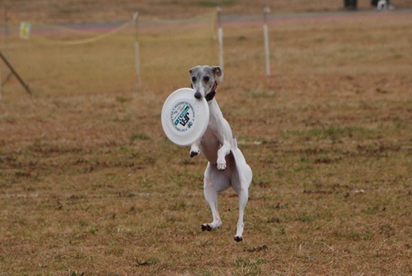 20140202-7.jpg