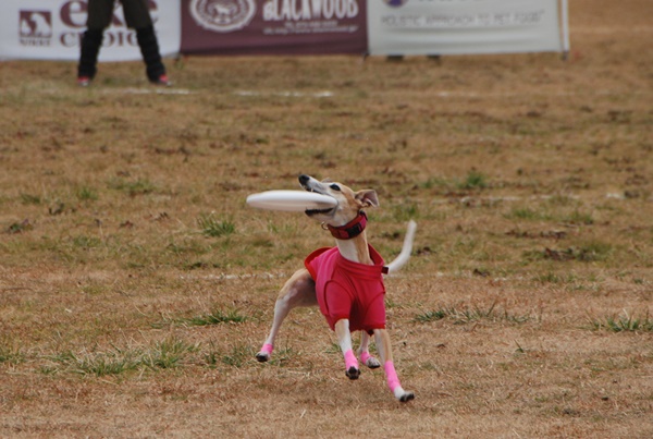 20140202-8.jpg