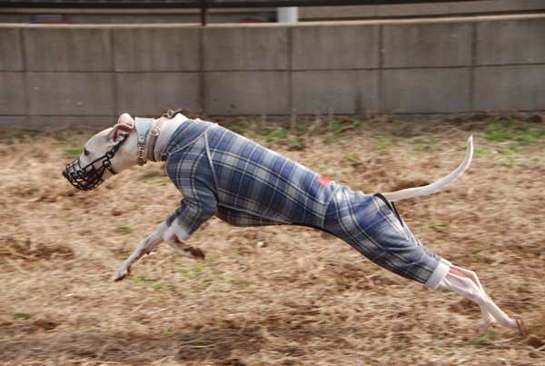 20140213 003
