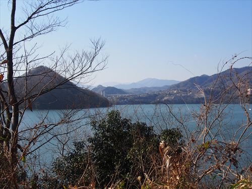 P2100176_R.jpg