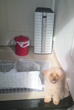2011091607560000.jpg