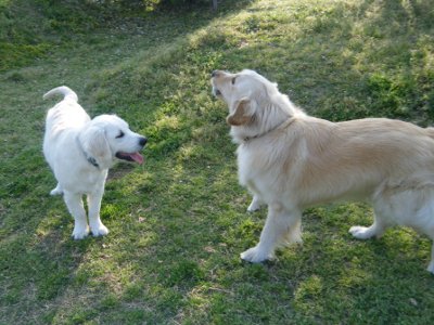 10_20120501002715.jpg