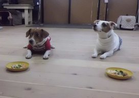 おやつ2