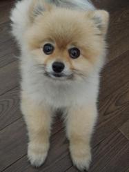 何のことですか?