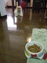 ストライキ中