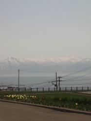 春のニセコ連峰