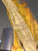 IMG_4118.jpg