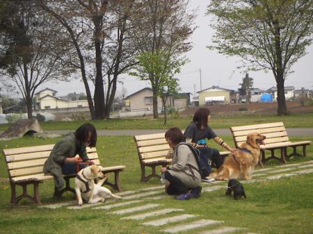 お散歩会4