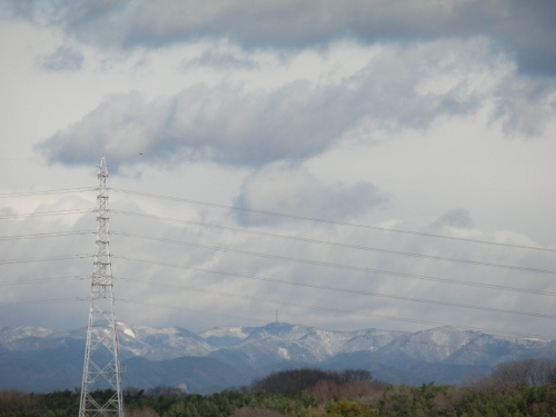 雪だねー (500x375)