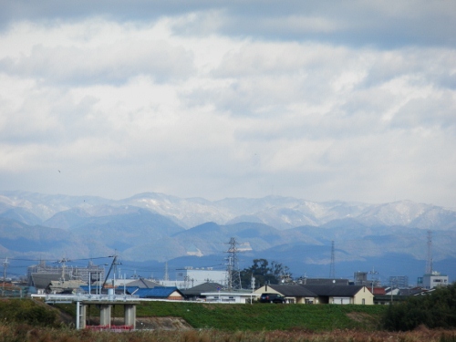 雪だー (500x375)
