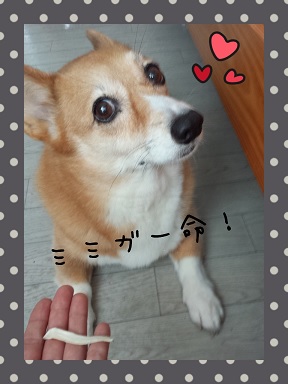 20140209-03.jpg