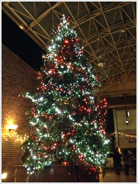 2013Christmasshi015.jpg