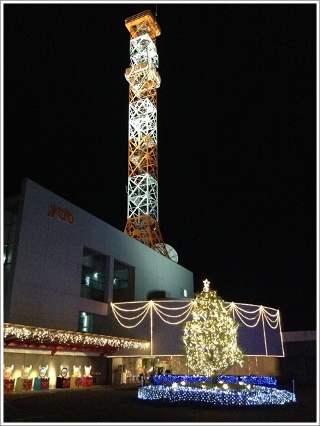 2013Christmasshi016.jpg