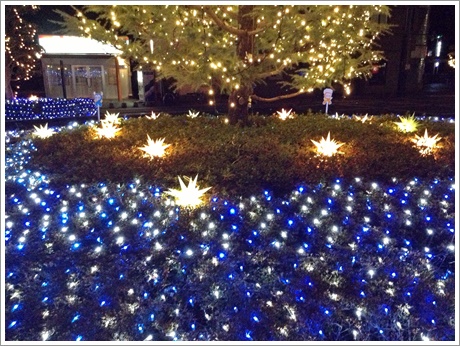 2013Christmasshi017.jpg