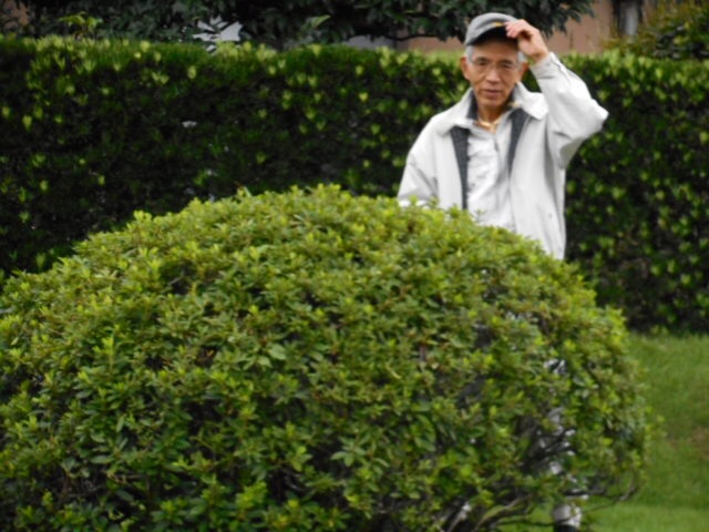 201409170644288fd.jpg