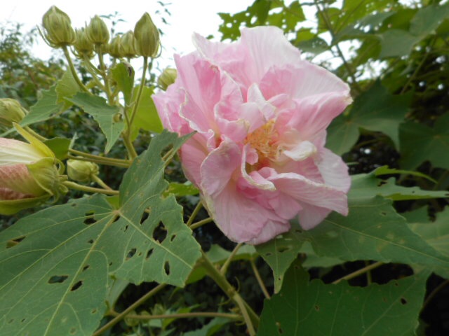201409171842098e4.jpg
