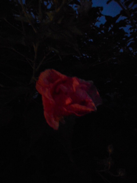 201409171842113de.jpg