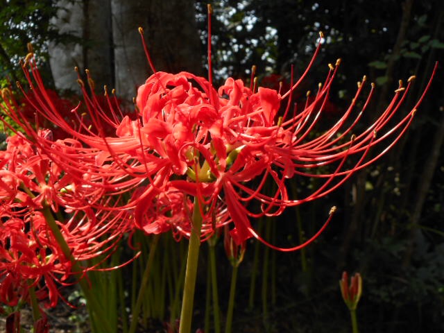 201409180744150a7.jpg