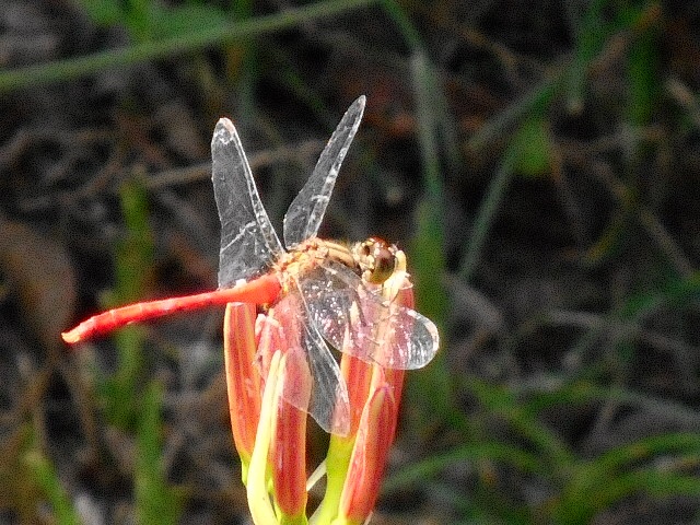 20140918074416703.jpg
