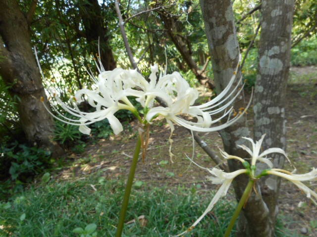 20140918074418cc4.jpg