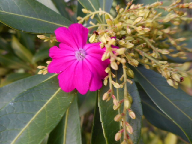 20140920052032b38.jpg