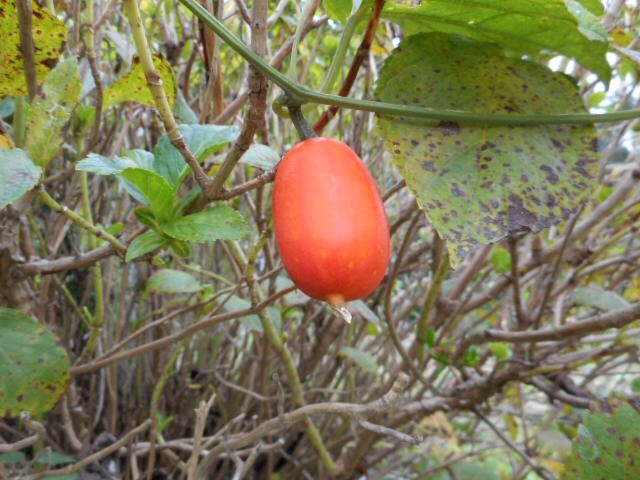 20140922063914087.jpg