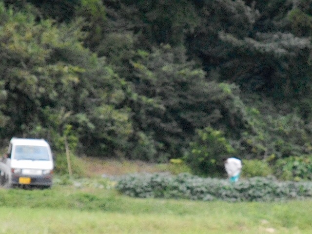 201409220639176c3.jpg