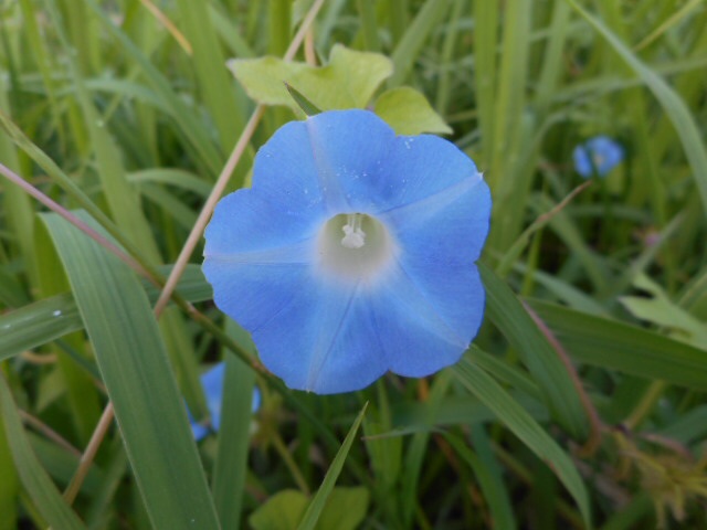 201409230748193af.jpg