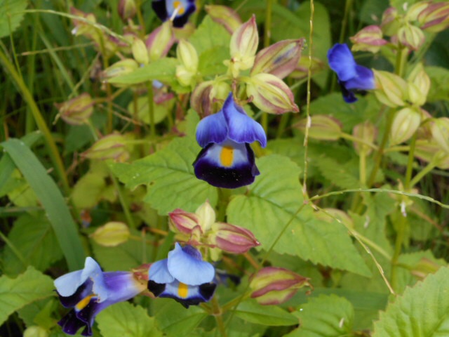 20140923074821406.jpg