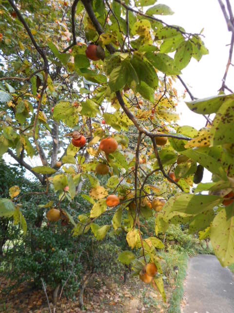 201409240700239e4.jpg