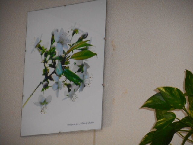 201409250906407fd.jpg