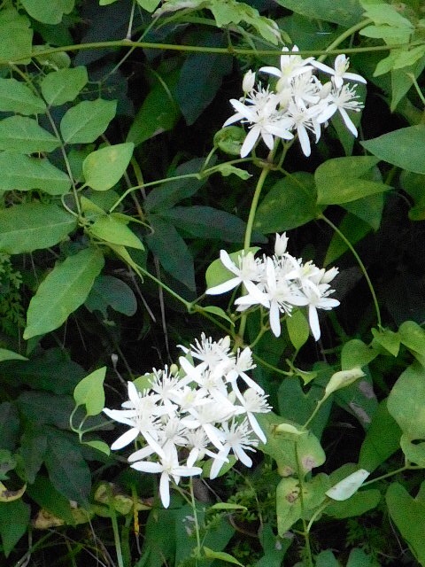 20140927050000702.jpg