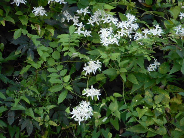 20140927050001688.jpg