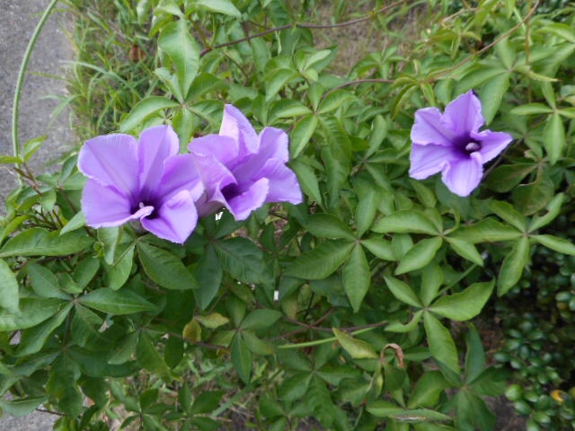 20140928083029065.jpg