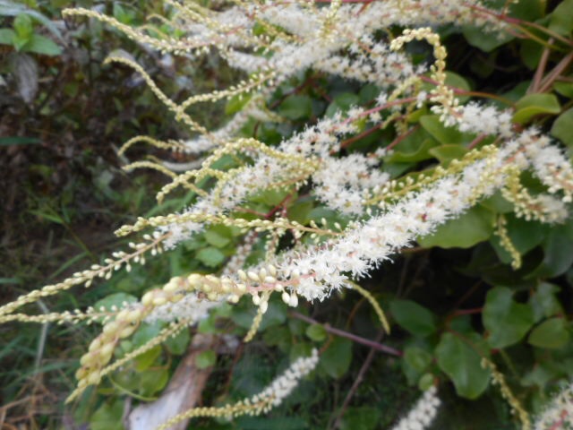 201410020918460f0.jpg