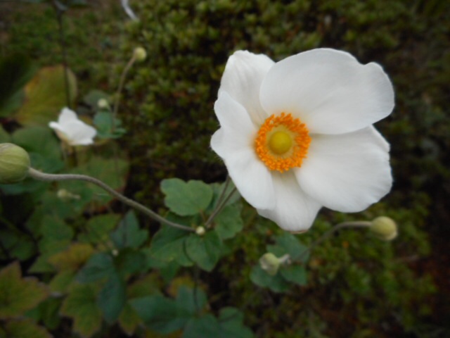 20141005100258fd9.jpg