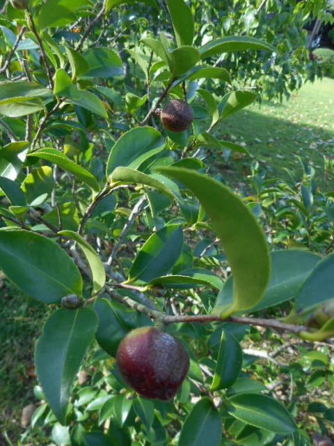 2014100708572891a.jpg